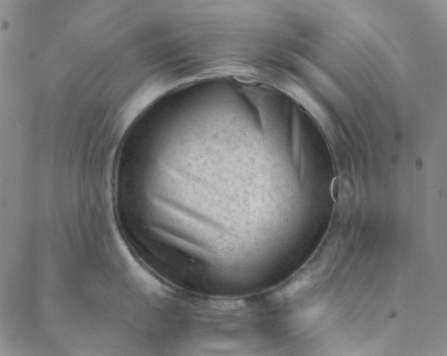 X0000088581055200706081118