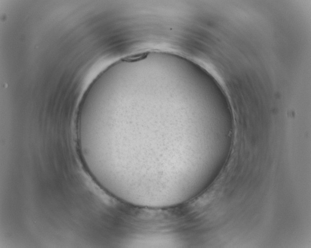 X0000088581056200706081118