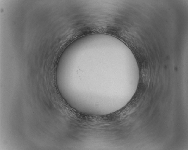 X0000088581057200706081117