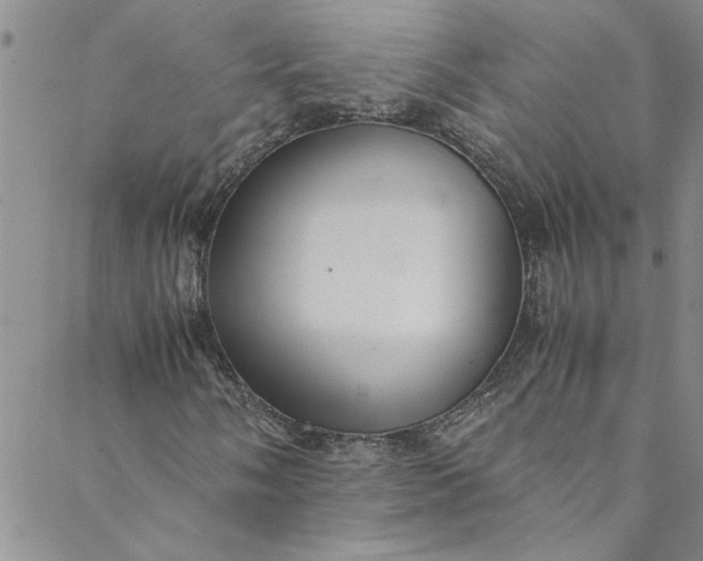 X0000088581058200706081117