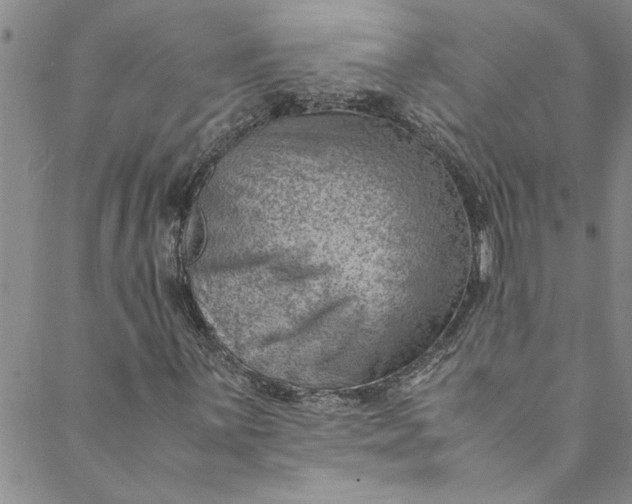 X0000088581059200706081117