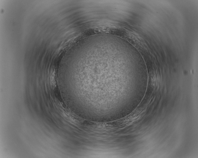 X0000088581060200706081117