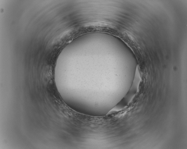 X0000088581062200706081117