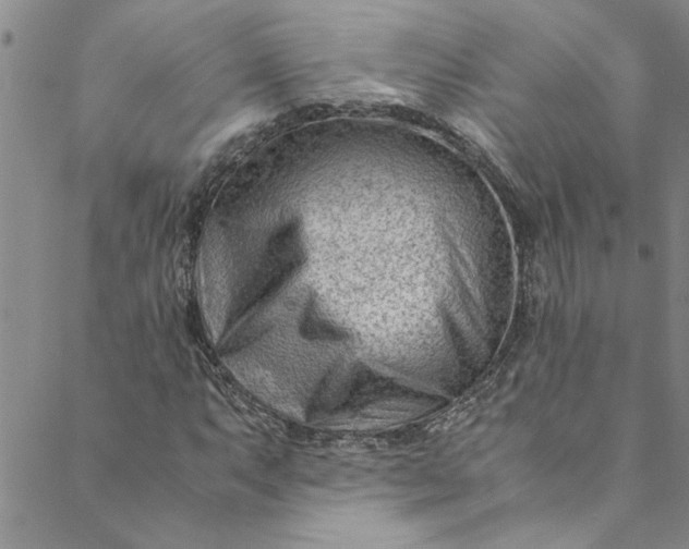 X0000088581063200706081117