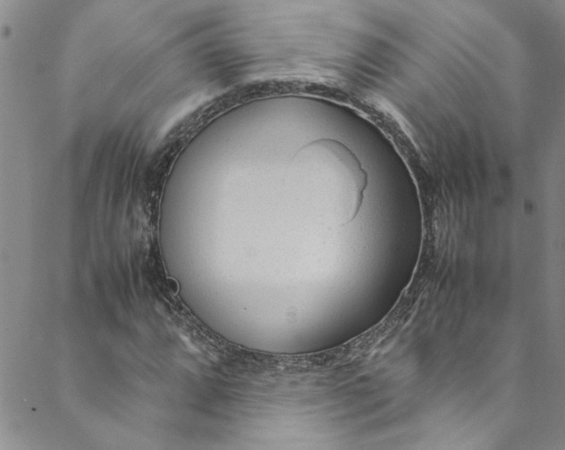 X0000088581064200706081117