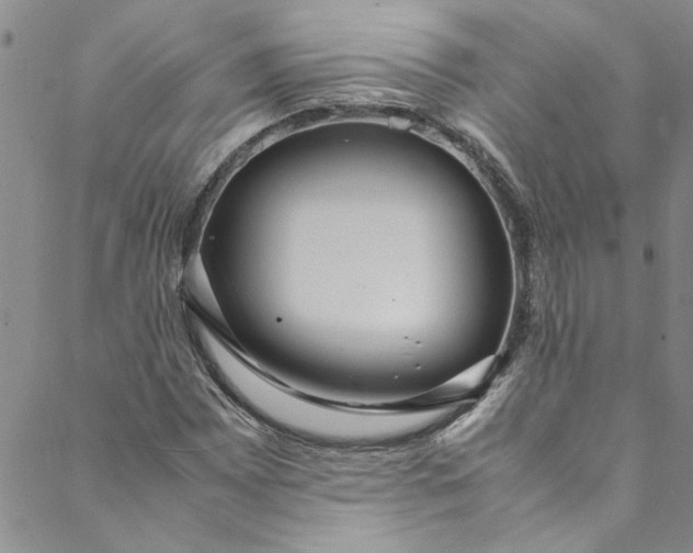 X0000088581065200706081117