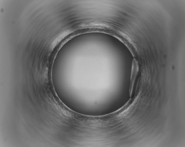 X0000088581066200706081117