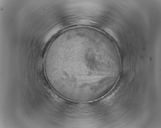 X0000088581067200706081117