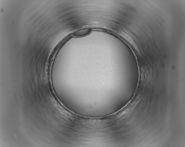 X0000088581068200706081117