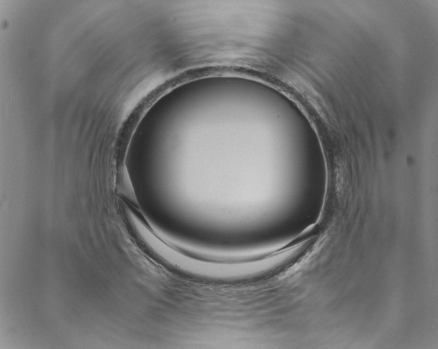 X0000088581069200706081117