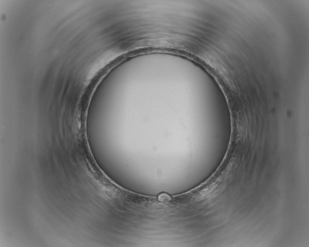 X0000088581070200706081117