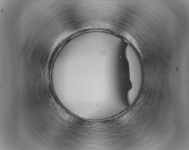 X0000088581072200706081117