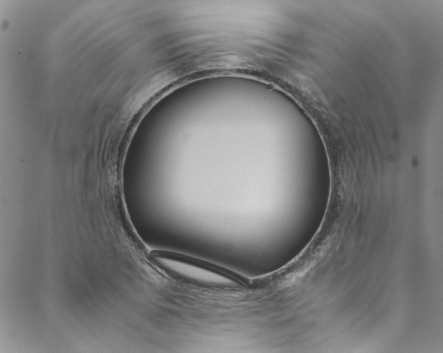 X0000088581073200706081117