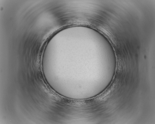 X0000088581074200706081117