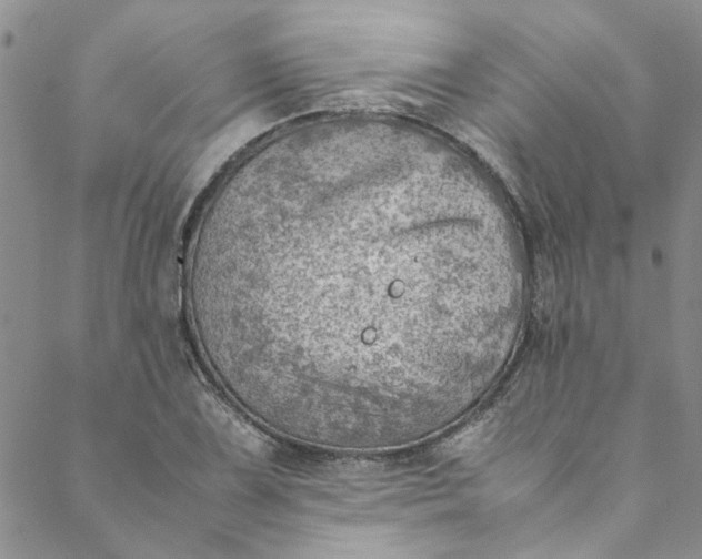 X0000088581075200706081117