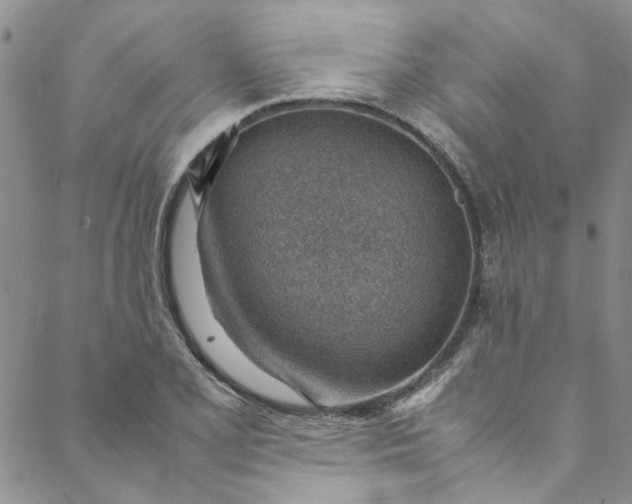 X0000088581077200706081117