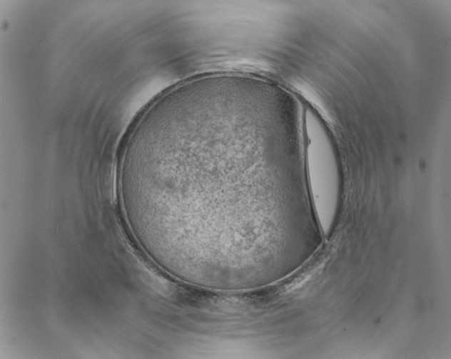 X0000088581079200706081117