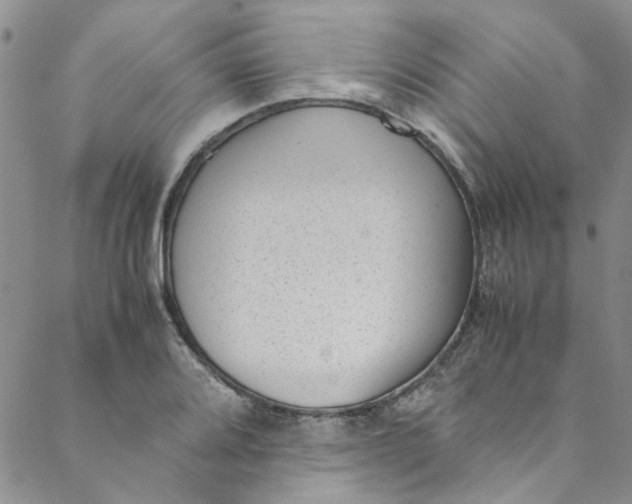 X0000088581080200706081117