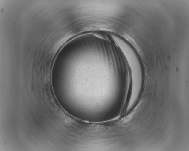 X0000088581081200706081117