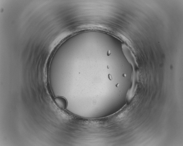 X0000088581082200706081117