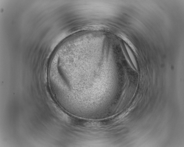 X0000088581083200706081117