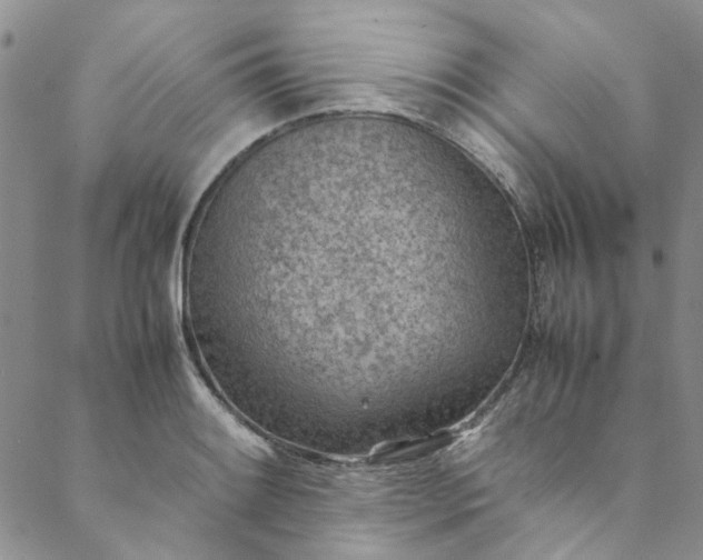 X0000088581084200706081117