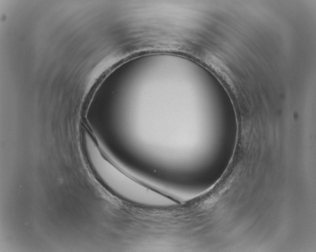 X0000088581085200706081117