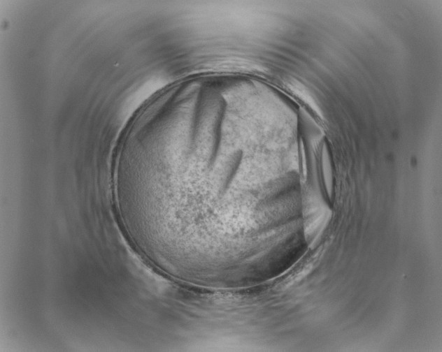 X0000088581087200706081117