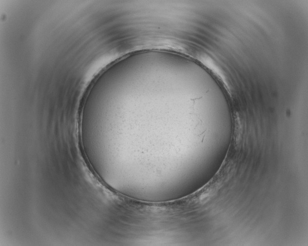 X0000088581088200706081117