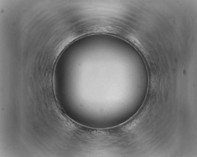 X0000088581089200706081117