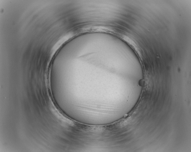 X0000088581090200706081117