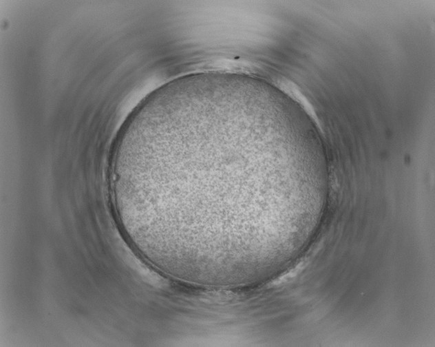 X0000088581091200706081117