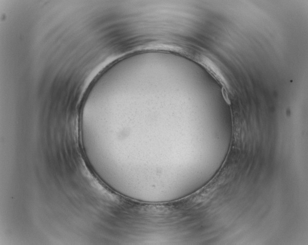 X0000088581092200706081117