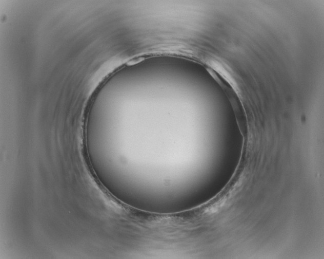 X0000088581093200706081116