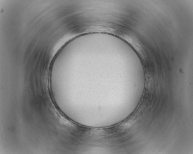 X0000088581094200706081116