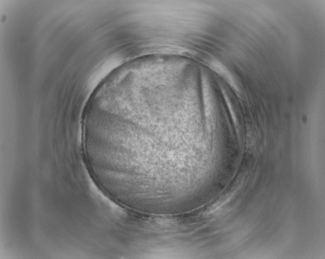 X0000088581095200706081116