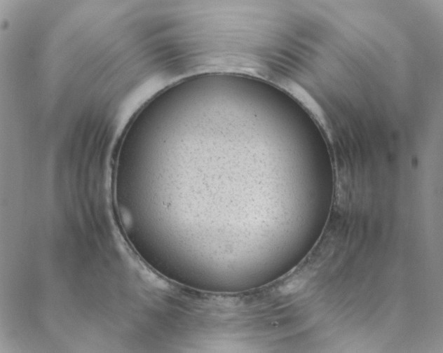 X0000088581096200706081116