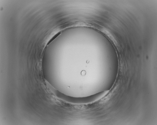 X0000088581097200706081116