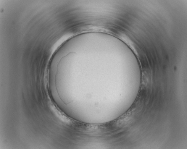 X0000088581098200706081116