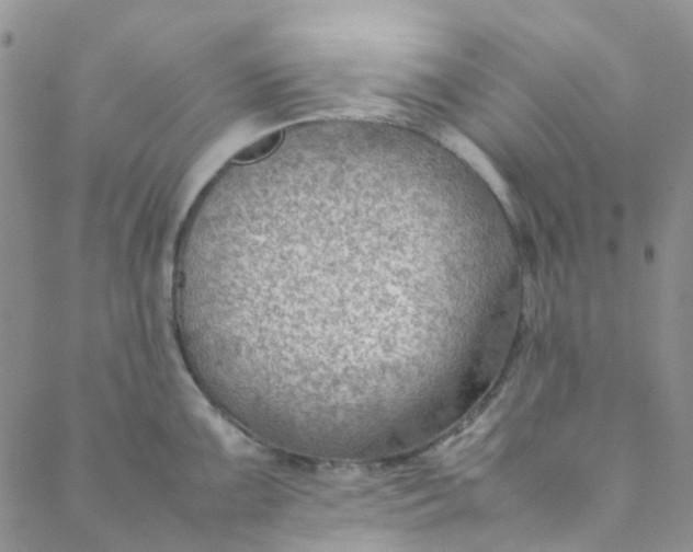 X0000088581099200706081116