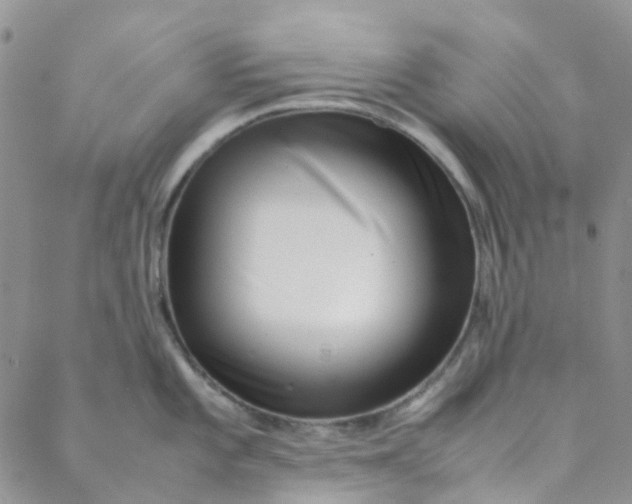 X0000088581101200706081116