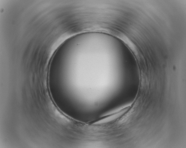 X0000088581102200706081116