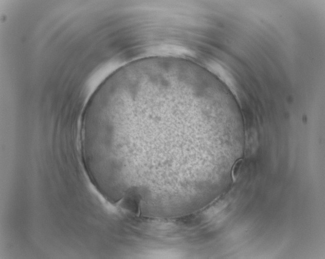 X0000088581103200706081116