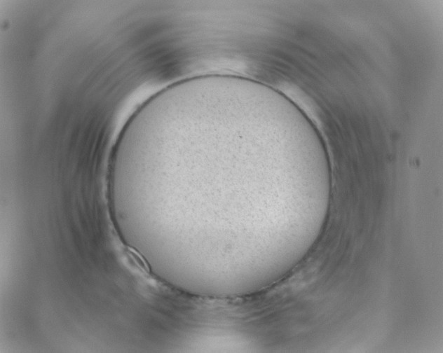 X0000088581104200706081116