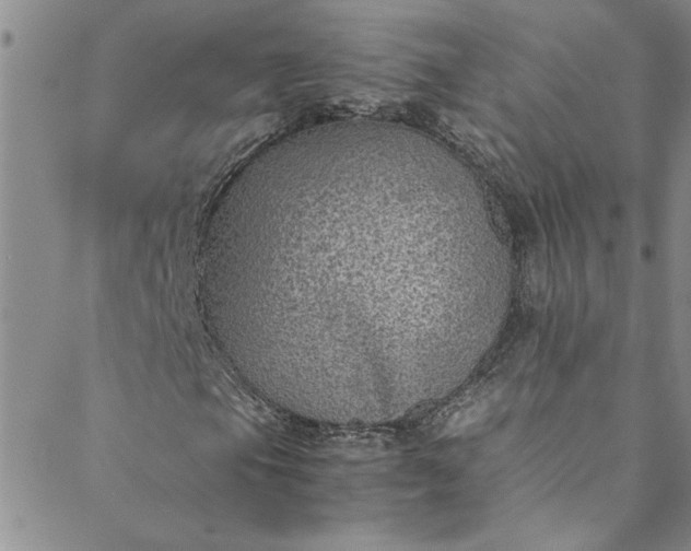 X0000088581105200706081116