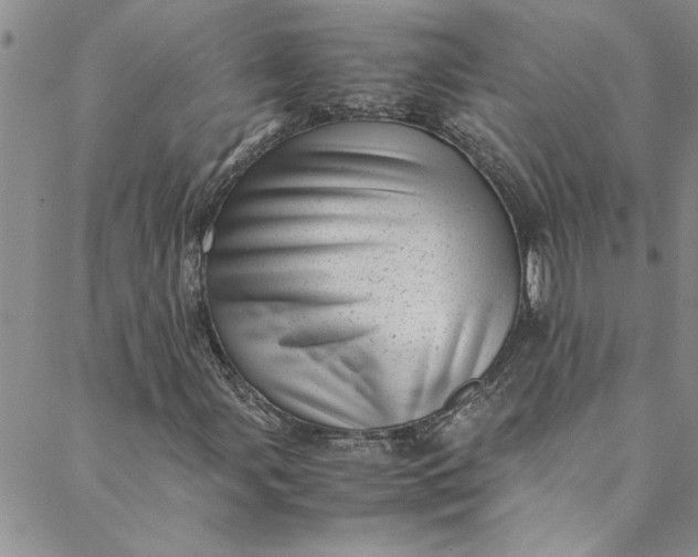 X0000088581107200706081116