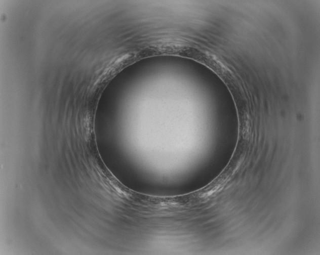 X0000088581108200706081116