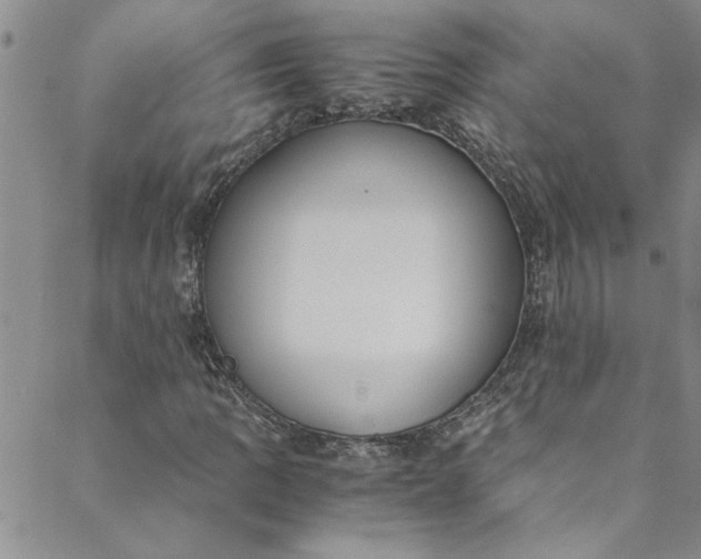 X0000088581109200706081116