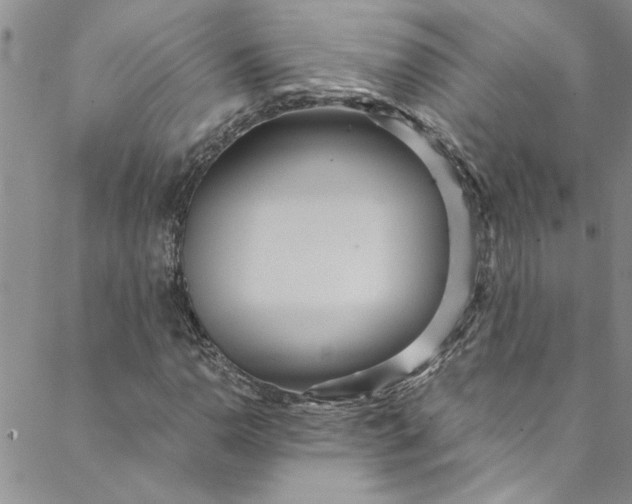 X0000088581110200706081116