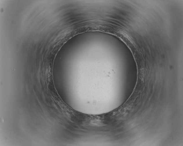 X0000088581111200706081116